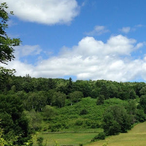 Meet your Posher, Darren